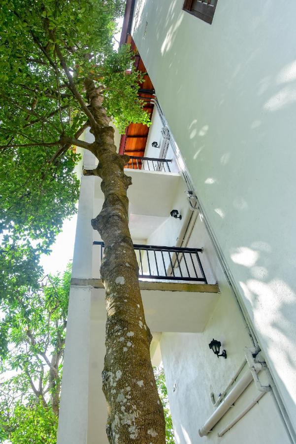 Villa Araliya Hikkaduwa Bagian luar foto
